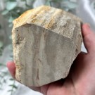 Forsteinet Tre Telysholder Høy thumbnail