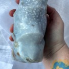 Orbikulær Sjø Jaspis Flamme - 1,5KG & 19CM ~HALV PRIS!! thumbnail