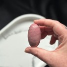 Unik Rosa Forsteinet Tre Shiva #10 thumbnail