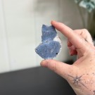 Blå Fossiliert Korall #2 thumbnail