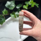 Forsteinet Tre Skive #3 thumbnail