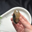 Golden Healer & Pyritt Shiva #2 thumbnail