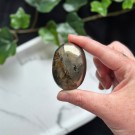 Golden Healer & Pyritt Håndstein #9 thumbnail