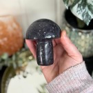 Stor Lepidolitt Sopp #3 thumbnail