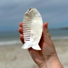 Mother Of Pearl - Skjell Pyntekam #2 thumbnail