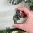 Edderkopp på blad - Fruit Jasper & Serpentin #1 thumbnail
