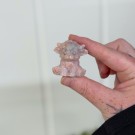 Rosa Opal Highland Cow thumbnail