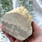 Forsteinet Tre Telysholder Høy thumbnail