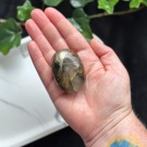 Golden Healer & Pyritt Håndstein #9 thumbnail