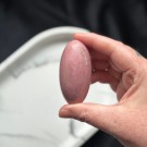 Unik Rosa Forsteinet Tre Shiva #2 thumbnail