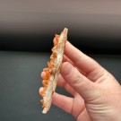 Mandarinkvarts Gruppe [Tangerine] #7 thumbnail