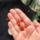 8mm Karneol Krystallperler - 10stk thumbnail