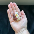 Mokait Hjerte #5 thumbnail