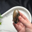 Golden Healer & Pyritt Shiva #2 thumbnail