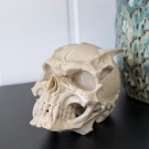 Vel Unt’s Demon Skull - Fantasy Hodeskalle (KUN 1) thumbnail