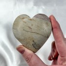 Dendrit Bilde Jaspis Hjerte thumbnail