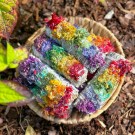 Hvit Salvie & Meksikansk Verbasco Blomster  thumbnail