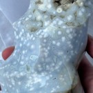 Orbikulær Sjø Jaspis Flamme - 1,5KG & 19CM ~HALV PRIS!! thumbnail