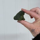 Serpentin Frosk thumbnail