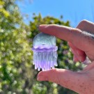 Fluoritt Jellyfish [12] thumbnail