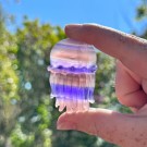 Fluoritt Jellyfish [2] thumbnail