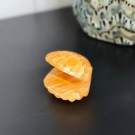 Oransje Kalsitt Skjell thumbnail