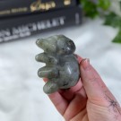 Stor Labradoritt Edderkopp** thumbnail