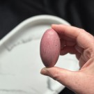 Unik Rosa Forsteinet Tre Shiva #6 thumbnail