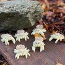 Mini Spider Donut - Vanilla Chocolate/Vanilje Sjokolade thumbnail