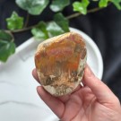 Forsteinet Tre Skive #3 thumbnail