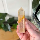 Golden Healer Tårn #5 thumbnail