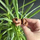 Flexi Sjokolade Frosk thumbnail