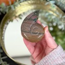 Sjø Jaspis Ammonitt Utskjæring thumbnail