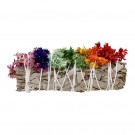 Hvit Salvie & Meksikansk Verbasco Blomster  thumbnail