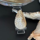 Agatisert Korall/Korall Fossil Dråpe #6 thumbnail