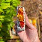 Hvit Salvie & Siempreviva Blomster thumbnail