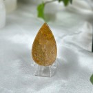 Agatisert Korall/Korall Fossil Dråpe #1 thumbnail