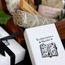 Vel Unt’s Secret Scoop - Trolldommens Skatter thumbnail