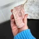 Rosa Opal Dragehode #1 thumbnail