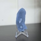 Blå Fossiliert Korall #4  thumbnail