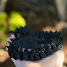 Svart Drage Orm 55cm thumbnail