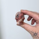 Liten Rhodokrositt Hodeskalle - Collector's Piece (111,8g) thumbnail