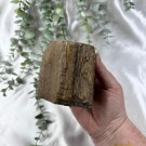 Forsteinet Tre Telysholder Lav  thumbnail