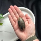 Golden Healer & Pyritt Shiva #1 thumbnail