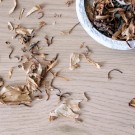 Vel Unt's Drømmehage ~ White Lotus/Hvit Lotus Blader thumbnail