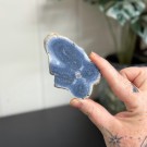 Blå Fossiliert Korall #10 thumbnail