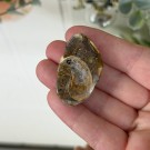 Krystallisert Skjell Cabochon - 20,8g thumbnail