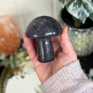 Stor Lepidolitt Sopp #3 thumbnail