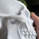 Hodeskalle - Memento Mori  thumbnail