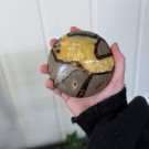 Septarian UFO thumbnail